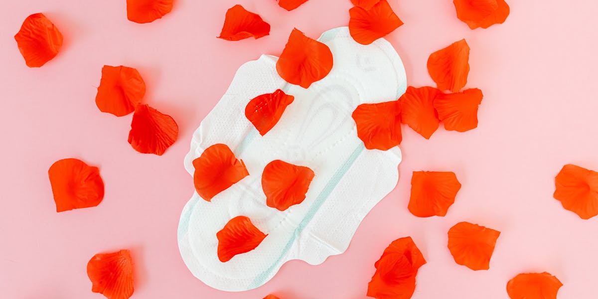 fases do ciclo menstrual